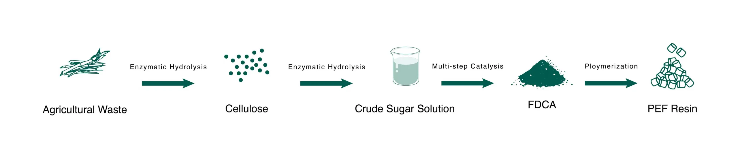 The manufacturing process of PEF resin